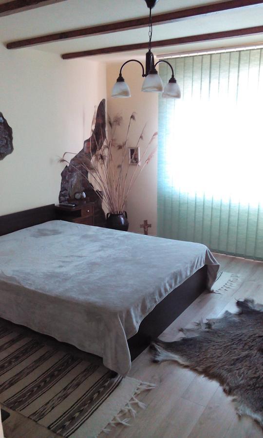 Casa Cosmin Hostal Dobra Exterior foto