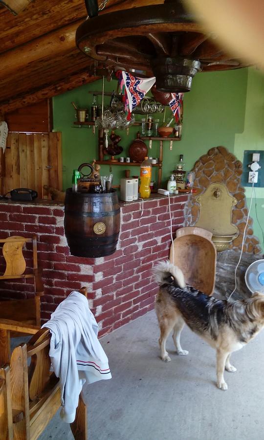 Casa Cosmin Hostal Dobra Exterior foto