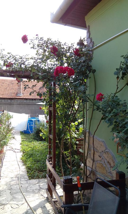 Casa Cosmin Hostal Dobra Exterior foto